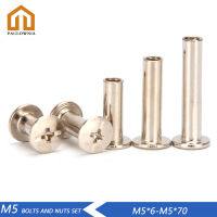 สกรูชิคาโกสลักเกลียวชุบนิกเกิล M5ความยาว6-70มม. อุปกรณ์เครื่องมือ DIY สำหรับเปลี่ยน