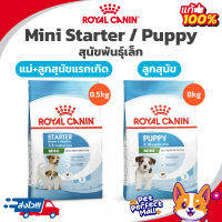 Royal Canin Mini Starter 8.5kg / Mini Puppy 8kg exp10/24 โรยัลคานิน แม่สุนัข สุนัขท้อง ลูกสุนัข พันธุ์เล็ก กระสอบขนาด 8 กิโลกรัม