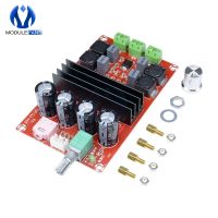 2*100W TPA3116 D2 Dual Channel Digital Audio Amplifier Board 12V-24V for Arduino TPA3116D2 Two Channel Module 100w+100W