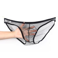 Gay Mens Underwear Foreign Trade European And American See-Through Fine Mesh Bag Low Waist Breifs Large Size C- 034