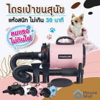 ไดร์เป่าขน ไดร์ขนสุนัข ไดร์เป่าขนแมว เครื่องเป่าขน ไดร์ไล่น้ำ QUICK DRYING 2800W  รุ่นใหม่