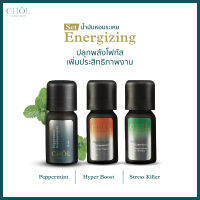 Set Energising ปลุกพลังโฟกัส เพิ่มประสิทธิภาพการทำงาน l เซตน้ำมันหอมระเหย