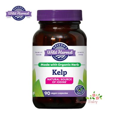 Oregons Wild Harvest Kelp 90 Vegan Capsules สารสกัดสาหร่ายเคลป์