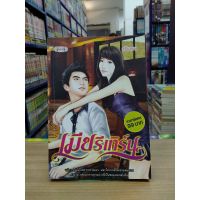 หนังสือนิยาย_เมียรีเทิร์น