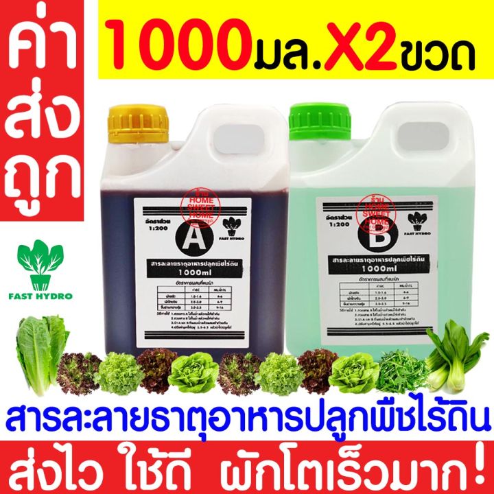 ค่าส่งถูก-สารละลาย-ab-สูตร-5ลิตร-ไฮโดรโปนิกส์-เอบี-ธาตุอาหาร-น้ำ-ผักไฮโดร-hydroponics-สลัด-ผักไทย-ผักกาด-ผักจีน-ปลูกพืชไร้ดิน-ปลูกผักไฮโดร