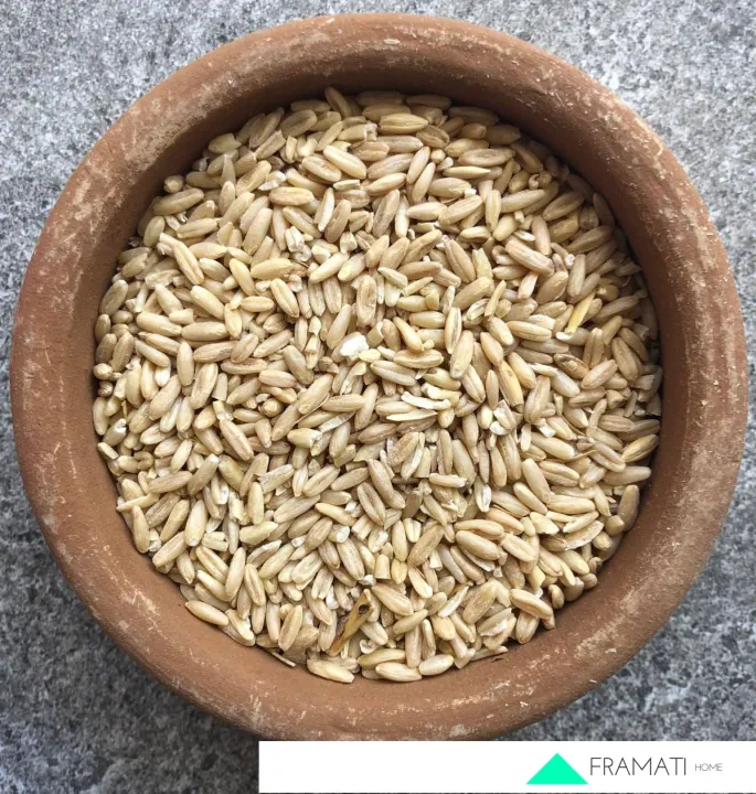 Oat Groats for Hamster, Rabbit, Guinea Pig, Parakeets, Budgies, African