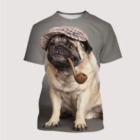 New Mens Ladies Kids T Shirts Fun Pug 3d Printed Cute Animals Short Sleeves Summer Breathable Lightweight Sports Tops