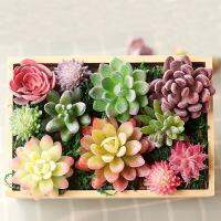 Green Purple Pink Red White Blue Artificial Succulents Plants Christmas Halloween New Year Home Decoration Fake Plants Bonsai