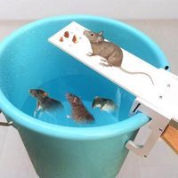 DIY Home Garden Pest Controller Rat Trap Quick Kill Seesaw Mouse Catcher Bait Home Rat Traps Mouse Pest Mice Traps