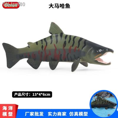 🎁 ของขวัญ Childrens cognitive simulation model of Marine animal salmon trout north an fish cake mass furnishing articles