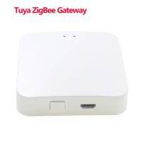 Zigbee การควบคุมม่านอัจฉริยะพลังงานแสงอาทิตย์มอเตอร์ขับเคลื่อนโซ่เฟืองมีมอเตอร์ควบคุมที่บังแสงชัตเตอร์มอเตอร์