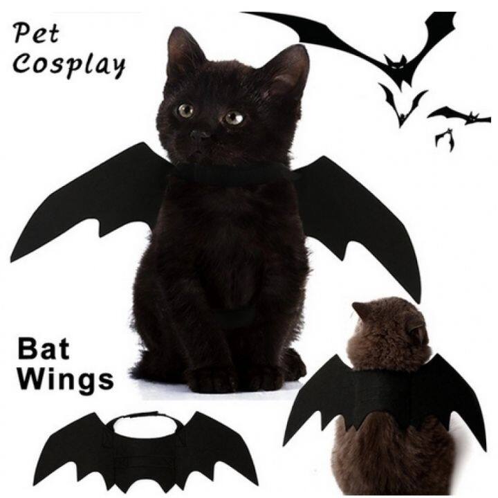 Creative cat bat wings transform costumes | Lazada