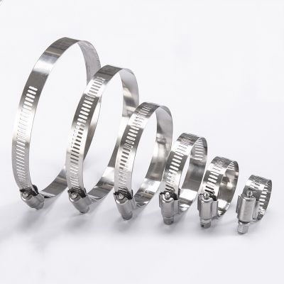 10PCS Stainless Steel 304 Adjustable Drive Tube Hose Clamp Fuel Line Worm Spring Clip Hoop Hose Clamp