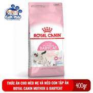 Thức ăn cho mèo mẹ và mèo con tập ăn Royal Canin Mother and BabyCat 400g