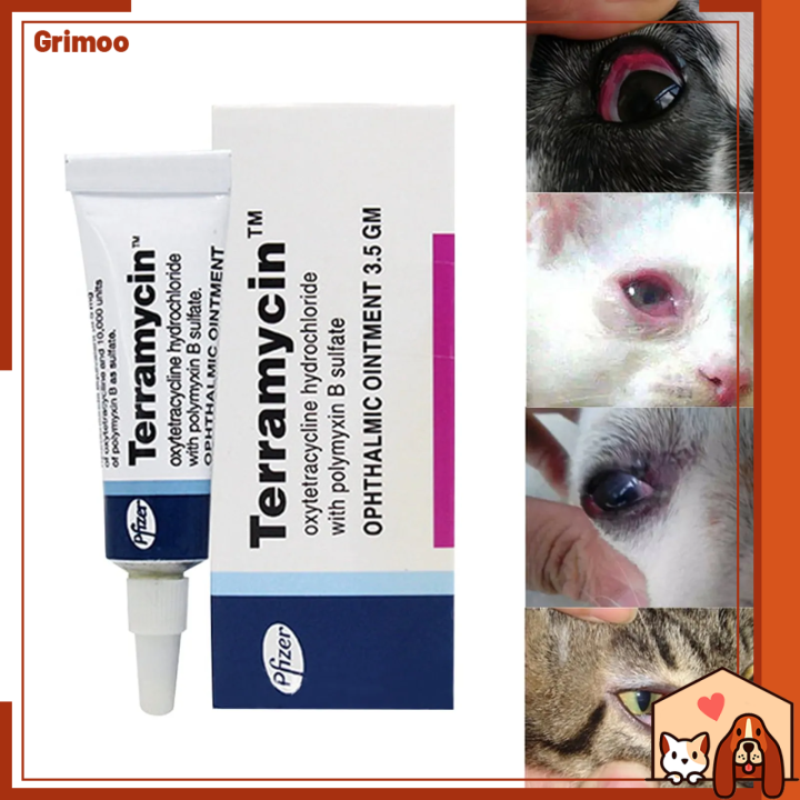 [Grimoo] Pet Eye Ointment Cats Dogs Antibacterial Eyelid Corneal