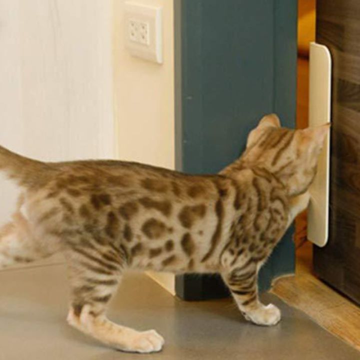 ประตูแมวเปิดควบคุมได้-entry-การฝึกอบรมสำหรับเปิดประตูอุปกรณ์เจาะรูโดยไม่ต้องเจาะติดตั้งง่ายสำหรับสุนัขแมว