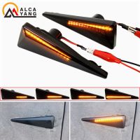 Car Side Marker Turn Signal Indicator LED Dynamic Lights For Renault Megane MK2 CC Espace MK4 Scenic MK2 Wind Avantime Thalia 2