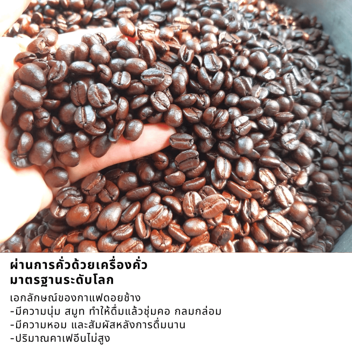 เมล็ดกาแฟดอยช้าง-เมล็ดกาแฟอราบิก้า100-เมล็ดกาแฟสดคั่วบด-สูตรเบลนด์อาราบิก้า-โรบัสต้า-บรรจุถุงติดวาล์ว-500-กรัม-คั่วใหม่-ส่งไว-ส่งฟรี