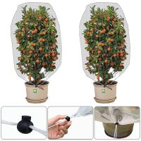 Garden Vegetable Insect Protection Net Plant Flower Fruit Landscape Trees Care Cover Greenhouse Pest Control Network Anti-bird