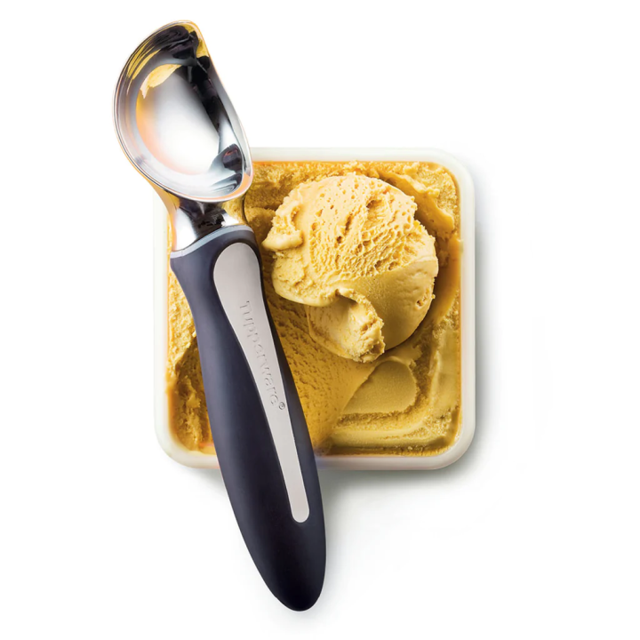 Tupperware Ice Cream Scoop Black White Handle 1pc Lazada