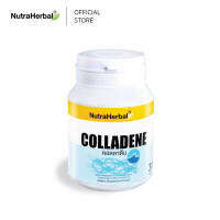 Colladene (ผลิตภัณฑ์เสริมอาหารกระดูกอ่อนปลาฉลาม ผสม คอลลาเจนเปปไทด์ จากปลาทะเล) (NutraHerbal)