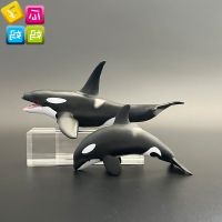 ? Genuine and exquisite model collecta me you he killer whale baby simulation ocean animal model childrens toys 88043