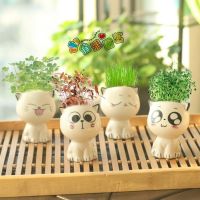 [COD] childrens grass doll planting potted decoration desktop mini cute long hair plant