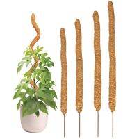 Monstera,อุปกรณ์เสริมเสาที่รองรับไม้ปีนเขาและนำกลับมาใช้ใหม่ได้