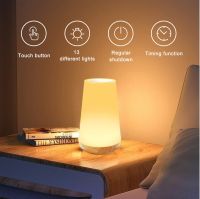 13 Color Changing Night Light Remote Control Touch USB Rechargeable RGB Night Lamp Dimmable Lamp Portable Table Bedside Lamp Night Lights