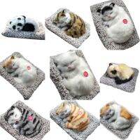 【ของเล่นตุ๊กตา】 Display Mold Sleeping Cat Design Purifying Air Plastic Cartoon Simulation Animal Model Car Ornaments Stuffed Doll Decorations ！