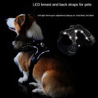 LED Luminous Dog Harness Light Up Dog Chest Strap Vest Safety Reflective Harness Collar Dog Accessories Durable Dogs Vest