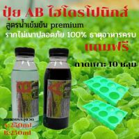 ปุ๋ย AB ชุด A250 ml B250ml กดติดตามร้านค้าทางร้านมีส่วนลด