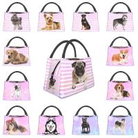 Lovely Pug Dog Insulated Lunch Tote Bag For Women Portable Cooler Thermal Bento Outdoor Camping Travel