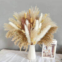 ดอกไม้แห้งธรรมชาติ Pampas Phragmites หางกระต่ายหญ้าช่อดอกไม้สำหรับ Boho Nordic Home Decor หูข้าวสาลีงานแต่งงานตกแต่ง-GFGNH MALL