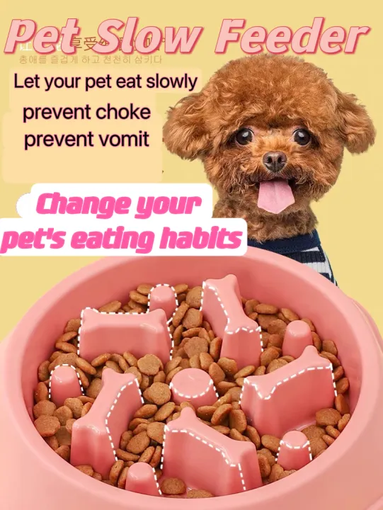 can puppies choke on treats