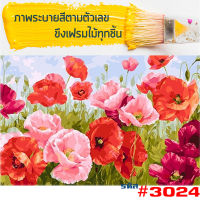 สินค้าพร้อมส่ง !! ภาพวาดระบายสี พร้อมเฟรม พร้อมสีและพูกัน HOME DIY ขนาด40x50cm. ภาพวาดสีน้ำมัน ภาพวาด ระบายสีตามตัวเลข