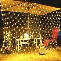 [Ricky Lighting] LED ตาข่าย String Light Fairy Light Chain งานแต่งงานตกแต่งสวนโคมไฟ Fairy ไฟสุทธิ Garland Slingers Light String