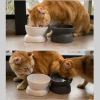 Pet Dishes Bowls with Stand for Kitten Small Dogs Food Water Bowl White Black Tilted Elevated Bowl Protect Pets Spine B03E