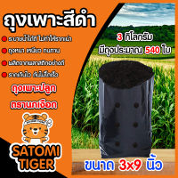 ถุงเพาะกล้า ขนาด3x9 ตรานกเงือก 3 กิโลกรัม  ถุงปลูกกล้า ถุงเพาะต้นไม้ ถุงดำเพาะกล้า ถุงดำเพาะปลูก ถุงปลูก ถุงดำเพาะกล้า ถุงชำต้นไม้