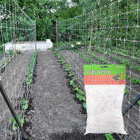 พืช Trellis ตาข่าย Heavy-Duty โพลีเอสเตอร์สนับสนุนโรงงาน Vine ปีนเขา Hydroponics Garden อุปกรณ์เสริมสุทธิสนับสนุนพืช-lihaiyan4