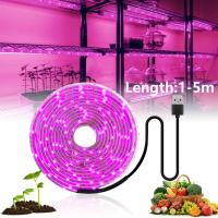 หลอดไฟ Led สำหรับ Grow 5V 0.5-3M,หลอดไฟ Led แบบเต็มสเปกตรัมสำหรับไฮโดรโปนิกส์มีเมล็ดพืชอวบน้ำในเต็นท์ Grow กล่องภาวะเรือนกระจกได้ขยายตัวขึ้นโคมไฟ Grow