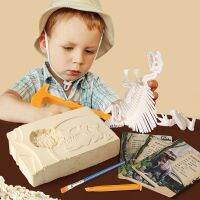 ❆▫ jiozpdn055186 Dinossauro fóssil dig kit dino escavação ciência educacional brinquedos realistas para crianças desenterrar conjunto 3d esqueleto puzzles figuras