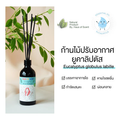 น้ำหอมในห้อง EUCALYPTUS ยูคาลิปตัส ขนาด 50 ML /100 ML ทำจากน้ำมันหอมระเหยแท้ ก้านไม้หอม อโรม่า ก้านไม้กระจายกลิ่น   HAUS OF SCENT