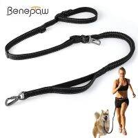 Benepaw สายจูงสุนัขปรับได้6 In 1,คู่ที่ทนทานมือจับสายจูงสัตว์เลี้ยงบันจี้จั๊มทำสุนัขขนาดกลางและขนาดใหญ่จูงเดินหรือฝึกวิ่ง