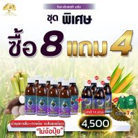 ชุดบำรุงต่อเนื่อง ซุปเปอร์โดส โดสเอ็กตร้า 8 แถมฟรี!! โดสพลัส 4 ขวด