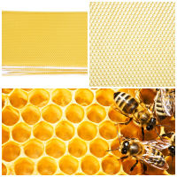 30PCS กล่องเลี้ยงผึ้ง Beeswax Sheets Beekeeper Tools