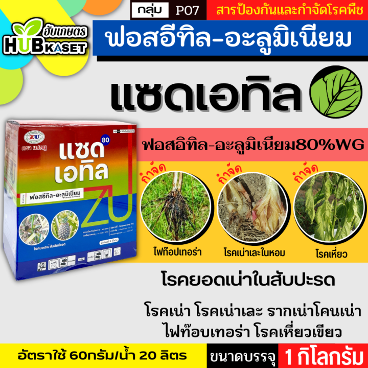 แซดเอทิล 1กิโลกรัม (ฟอสอีทิล-อะลูมิเนียม) ใช้ป้องกันกำจัดโรคยอดเน่า