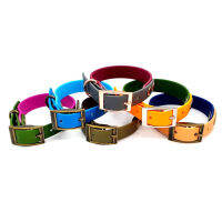 Factory Supplier Wholesale Custom Bicolor Waterproof PVC Coated Webbing Dog Collar For s Outdoors