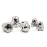 Acorn Cap Nut M3 M4 M5 M6 M8 M10 M12 M14 M16 304 สแตนเลสตกแต่งฝาครอบโดม Cap Nuts DIN1587-zaldfjgnsdg