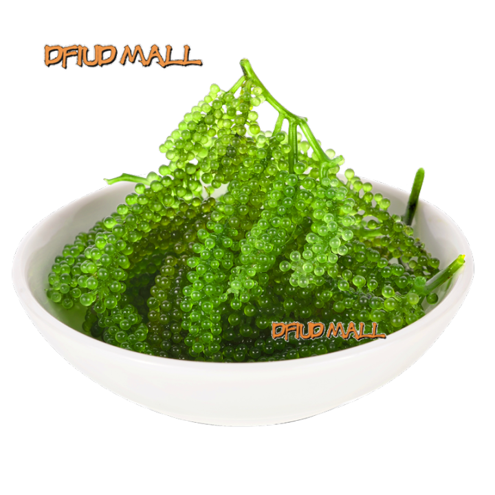 Fresh Sea Grapes, Instant Seaweed, Salted Green Vegetables, Plant Fish Roe Sauce100g Lazada